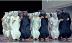 Вагнеровский фестиваль в Байройте накормит театралов свежей порцией экстремальных оперных постановок