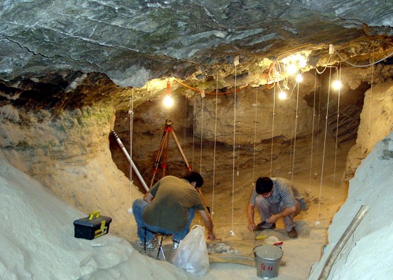 В Крыму нашли останки ископаемого животного возрастом 6-7 миллионов лет