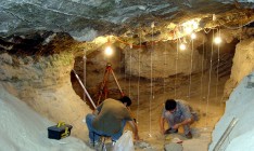 В Крыму нашли останки ископаемого животного возрастом 6-7 миллионов лет