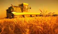 Украина уже экспортировала 2,3 млн тонн зерна