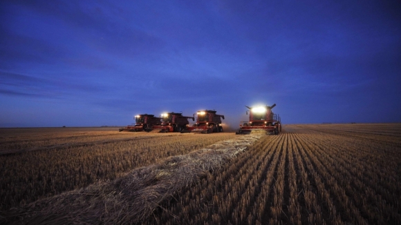 В Украине почти 14% сельхозземель используются незаконно