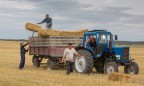 Аграрии потеряют 2 млрд грн на производстве зерна