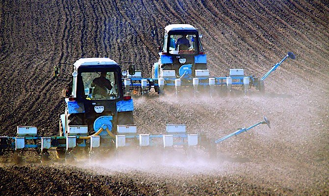 Украина собрала более 63 млн тонн зерновых