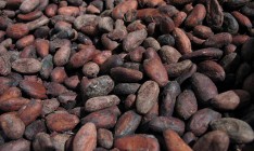 Стоимость какао-бобов подскочила на 43% за год