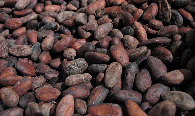 Стоимость какао-бобов подскочила на 43% за год
