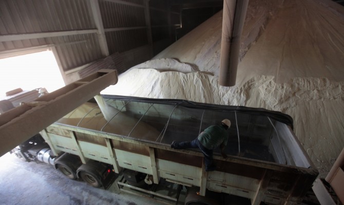 Производство сахара в Украине к 31 октября выросло вдвое