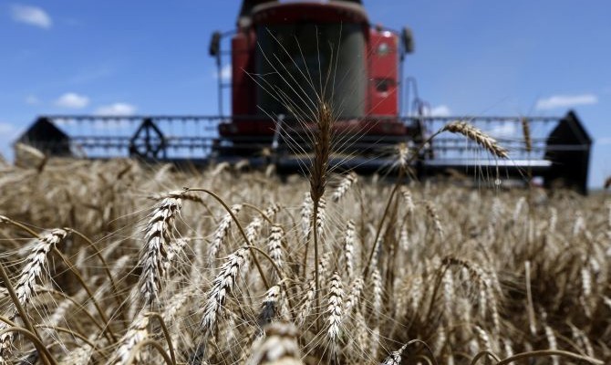 Украина установила новый рекорд по экспорту зерна