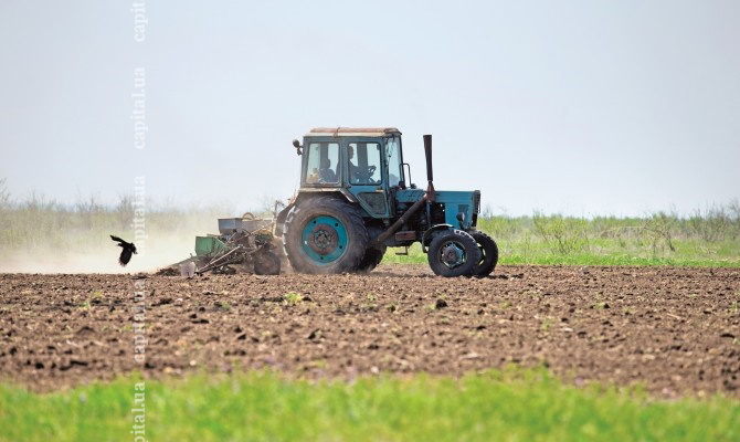 За месяц агрохолдинги Украины подорожали на 7%