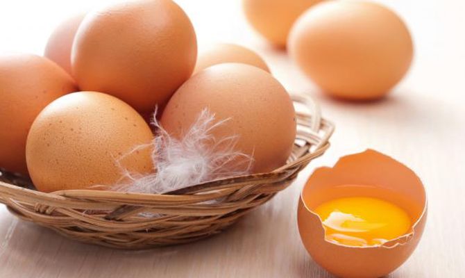 Госветфитослужба не обнаружила сальмонеллы в куриных яйцах на экспорт
