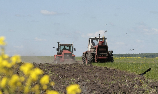 Павленко: Посевная площадь под урожай-2016 составит 26,7 млн га