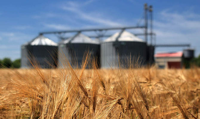 Украина экспортировала в марте почти 30 млн тонн зерновых