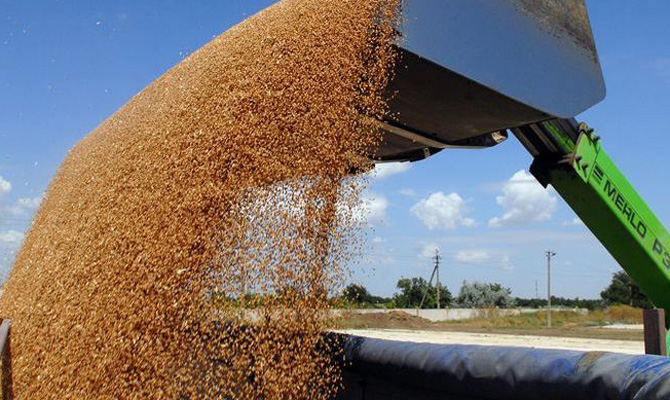 Украина планирует экспортировать за год 36 млн тонн зерна