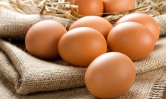 Эксперт: Цены на яйца будут падать еще три месяца