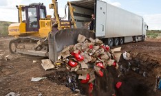 В РФ уничтожили около 4,8 тысяч тонн импортных продуктов