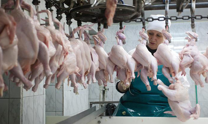 Украина наладит экспорт мяса в Филиппины