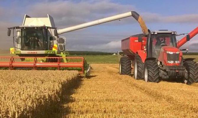 Украина собрала 38,5 млн тонн зерновых и зернобобовых