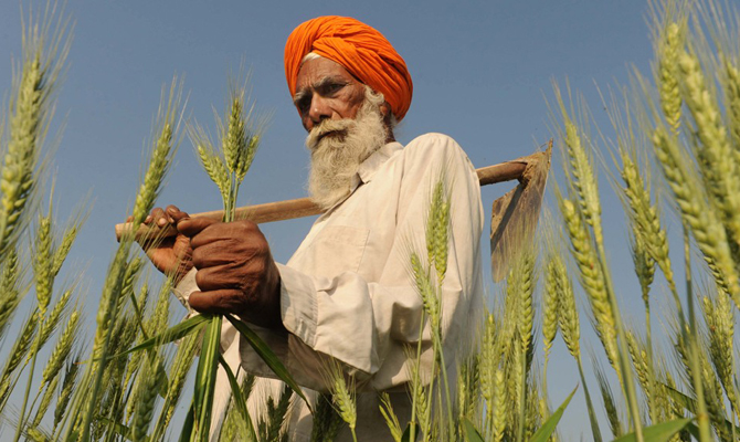 Индия снизила пошлину на импорт пшеницы до 10%