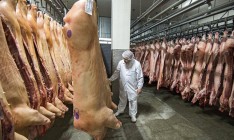 Молдова может запретить импорт свинины из-за рубежа