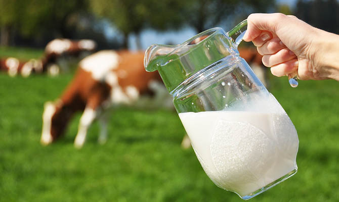 Производство молока в мире вырастет до 546 млн тонн