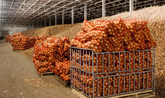 В Украине планируют построить овощехранилищ на 400 тыс. тонн