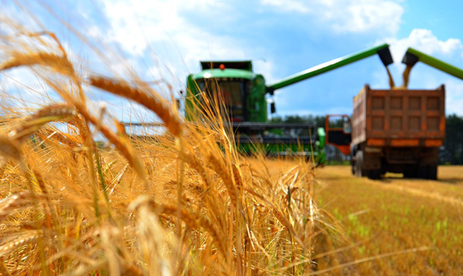 Украина за девять месяцев экспортировала агропродукции на 10,4 млрд долл.