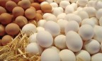 Доходы от экспорта яиц из Украины в 2016г упали в 1,7 раза