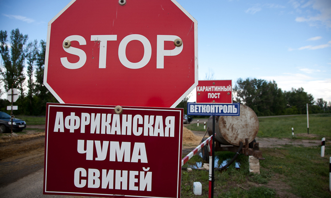 Случаи АЧС зарегистрированы в четырех областях Украины