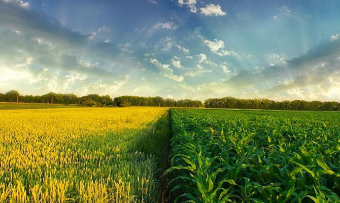 Оборот с/х земель в Украине и реформа налогообложения земель будут согласовываться с общественностью и международными партнерами