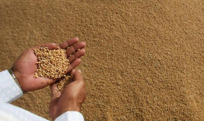 Египет упрощает правила импорта зерна