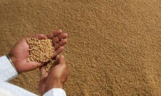 Египет упрощает правила импорта зерна