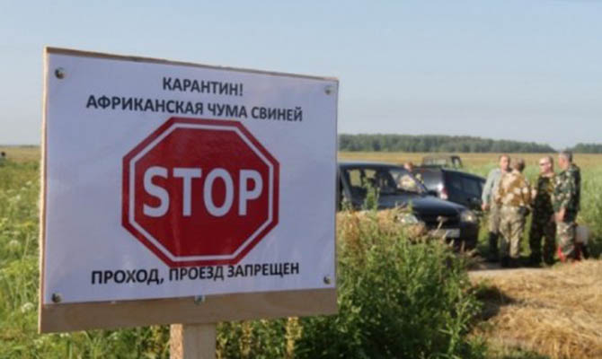 В Полтавской области зафиксирована очередная вспышка АЧС
