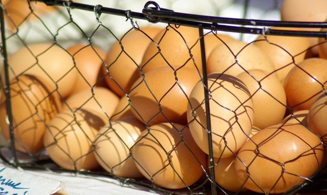 Ведущий производитель яиц сократил свою прибыль в 1,4 раза