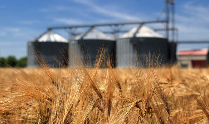 В Украинском государстве зафиксирован новый рекорд по экспорту зерновых,