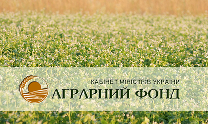 «Аграрный фонд» планирует привлечь 6,7 млрд грн кредитных средств на развитие