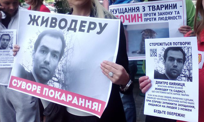 Киевский суд лишил свободы мужчину за издевательства над котом