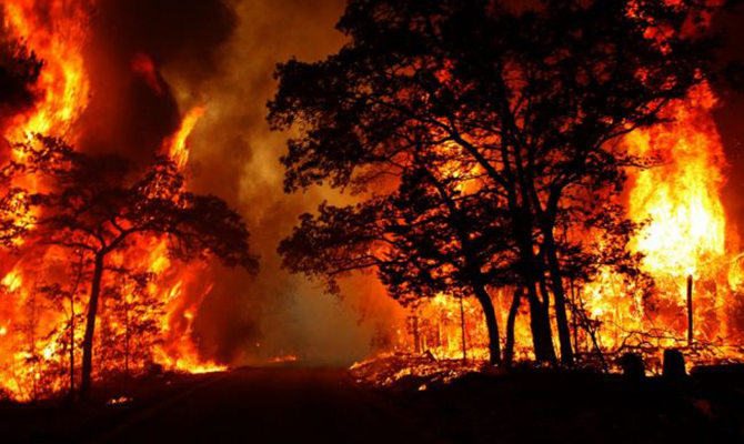 Французскую Ривьеру и Корсику охватили лесные пожары