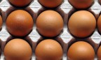 В Бельгии и Нидерландах провели обыски по делу о зараженных пестицидами яйцах