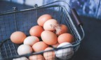 Украина поставила рекорд по экспорту яиц