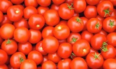 Россия разрешила ввоз турецких помидоров