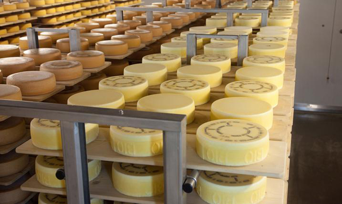 Импорт сыров в Украину в 2017 году вырос на 42%