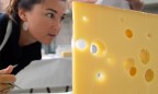 В Украине весь польский сыр является фальсификатом