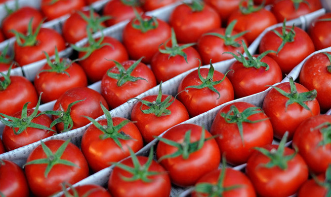 Украина вернула Турции партию томатов