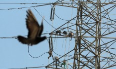 Экспорт электроэнергии из Украины в Молдову продлили на год
