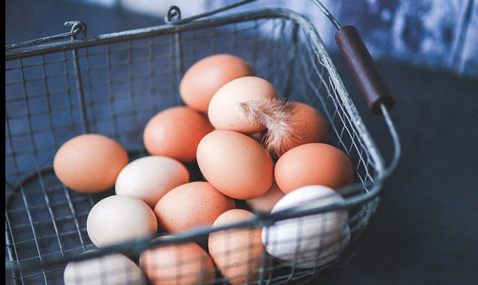 Украина в 2018 экспортировала яиц на $14,9 млн