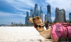 Власти ОАЭ автоматически продлят визы всем иностранцам