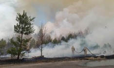 В Житомирской области и Чернобыльской зоне продолжается тушение лесных пожаров