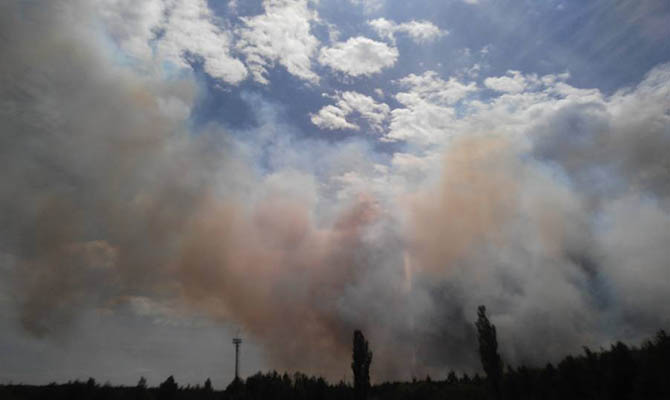 В Луганской области от огня пострадали почти 19 тысяч гектаров леса