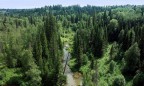 В Украине проведут инвентаризацию водных и лесных ресурсов