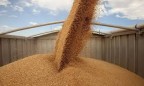 Беларусь ввела временный запрет на вывоз зерновых