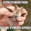 Иван Свистунов